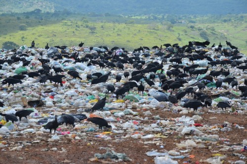 Abandonado pela prefeitura, o Aterro Sanitário de Itapetinga se transformou em um enorme lixão