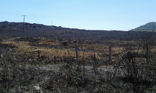 Nas propriedades rurais, as queimadas provocadas pela seca se alastram