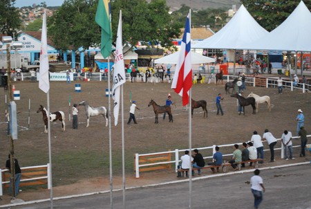 ITAPETINGA | EXPOSIÇÃO AGROPECUÁRIA É CONFIRMADA PARA O MÊS DE MAIO | Sudoeste Hoje